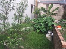 Hình ảnh Bán 90m2 đất ngõ 188 Tư Đình khu dân trí cao ở Tư Đình, Long Biên