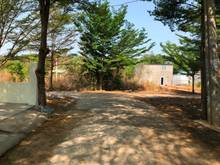 Hình ảnh cần tiền xây nhà bán gấp lô đất 220m2(10x22) SHR chính chủ