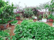 Hình ảnh Anh bạn nhượng lại nhà 4 tầng cực đẹp Tư Đình, Long Biên