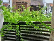 Hình ảnh Trung Tâm Quận 10 đường Cao Thắng Phường 12, 3 Tấm 4x10m giá 4,8 tỷ