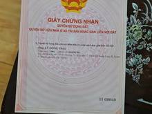 Hình ảnh Cần bán nhà cấp 4 MT Dương Đình Hội TNPB Q9 5x20 giá 9ty5 TL