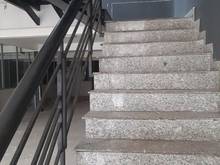 Hình ảnh Cho thuê nhà đường D1 quận Bình Thạnh 49m2