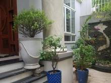 Hình ảnh Cho thuê nhà đường Nguyễn Minh Hoàng quận Tân Bình 12x21m .