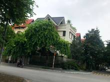 Hình ảnh Bán lô đất duy nhất rất đẹp TĐC Trâu Quỳ, Trâu Quỳ, Gia Lâm
