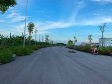 Hình ảnh Bán đất đấu giá cự khối, đường 25m , view hồ điều hòa
