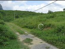 Hình ảnh Cực hiếm 1.5ha cách đường QL 300m ở Lương Sơn giá chỉ hơn 1 tỷ.