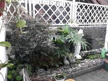 Hình ảnh Cho thuê nhà mới MT đường Trường Sơn, khu sân bay, P. 4, Tân Bình 1T4L