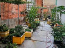 Hình ảnh Cần bán gấp lô đất 4.4 * 12  ngay Vòng xoay Lê Đại Hành - Âu Cơ.