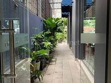 Hình ảnh Cho thuê nhà phố building Hoàng Quốc Việt đối diện nhà mẫu lacasa