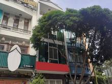 Hình ảnh Cho thuê nhà đường Hoa Phượng quận Phú Nhuận 4x16m