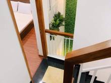 Hình ảnh bán nhà khuôn đất Mặt tiền Phan Đăng Lưu, P1, DT 12,7x32.2m