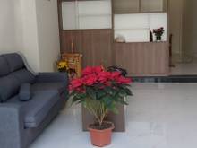 Hình ảnh Nhà 3 phòng ngủ, đường Phạm Quang Ảnh - B508