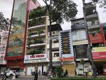 Hình ảnh Cho thuê tòa nhà MT Phạm Viết Chánh, Quận 1, DT 6.7x25m, 350tr/1th