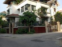 Hình ảnh Cho thuê biệt thự Vườn Đào, Tây Hồ, Villa sân vườn 400m2x5T