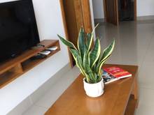 Hình ảnh Nhận Book Mb6623 nạp rút nhanh chóng Studio 250k/đ,CH tách biệt 300k/đ,full nội thất như ở