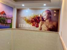 Hình ảnh Cho thuê nhà nguyên căn mặt tiền đường Tân Sơn, Phường 12, Quận Gò Vấp