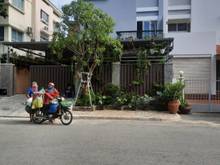 Hình ảnh Cho thuê biệt thự Mỹ Kim Phú Mỹ Hưng Q7, giá 43 triệu/th,