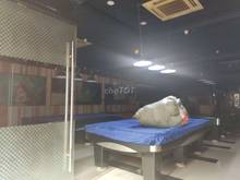 Hình ảnh Cho thuê nhà mặt tiền đường Ngô Quyền, Phường 8, Quận 5