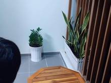 Hình ảnh Chính chủ cho thuê Trang Chủ MB66.COM / Đăng Ký Tặng 66K 62m2 view hồ bơi Topaztwins Biên Hòa