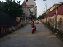 Hình ảnh Cần bán gấp mảnh đất đẹp Cầu Noi - Cổ Nhuế, Phân Lô Ô TÔ, chỉ 2.7 tỷ
