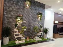 Hình ảnh Siêu phẩm vip! Cho thuê Trần Quang Khải, phường Tân Định Q1