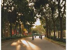 Hình ảnh #l Bán Nhà gấp MT Đường Bùi Thị Xuân Quận 1, Hầm + 9 tầng, 35 PN