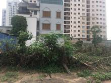 Hình ảnh Bán gấp 107m đường 13m khu 31ha Trâu Quỳ dãy T37A kinh doanh cực tốt
