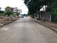 Hình ảnh Bán 235m2, mặt tiền 11,75, đường vỉa hè rộng khu 31ha Trâu Quỳ,Gia Lâm