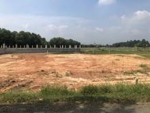 Hình ảnh 3600m2 đất NN giá rẻ 1,1tr/m2 lên thổ cư được, SHR