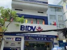 Hình ảnh Cho thuê nhà nguyên căn mặt tiền Tô Hiến Thành, Phường , Quận 10