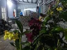 Hình ảnh Bán Nhà Hẻm Xe Hơi Xã Long Thới Huyện Nhà Bè  - Diện tích nhà: 7.2x13.