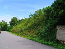 Hình ảnh 2000m2 đất Cư Yên, Lương Sơn, Hòa Bình.