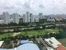 Hình ảnh Cho thuê Mb6623 nạp rút nhanh chóng Green Valley, Phú Mỹ Hưng, Căn góc 3PN view sân Golf