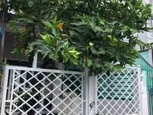 Hình ảnh Bán nhà giá tốt Ngay trung Tâm Thị Trấn Huyện Nhà Bè cách chợ phú xuân