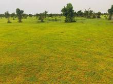 Hình ảnh Bán 10,000m2 đất Mb6666 game giải trí miễn phí hoà thắng cách đường nhựa 1.6km chỉ 1 tỷ