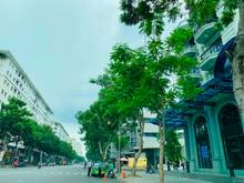 Hình ảnh Cho Thuê Nhà Phố hưng gia 1 Phú Mỹ Hưng, Quận 7 Giá Rẻ 34 triệu