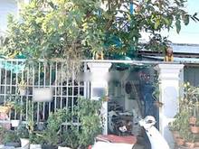 Hình ảnh Bán Gấp Nhà 1 Trệt 1 Lầu Mặt Tiền Đường Nhựa 8m Ra Lê Văn Lươ