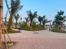 Hình ảnh TĐC Ngọc Thụy, Vỉa hè, Lô Góc 51m2 x Mt 5,5m x 110tr,m2, 3thoáng