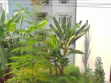 Hình ảnh Cuối năm thanh lí lô đất KDC Bình Chiểu,MT Ngô Chí Quốc,Thủ Đức