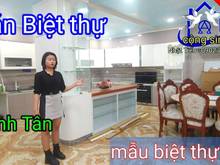 Hình ảnh Bán biệt thự đẹp Bình Tân 464m2 đất xây dựng 4 tấm có cả thang máy