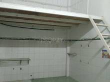 Hình ảnh Bán Dãy Phòng Trọ 5 Phòng Xã Phước Kiển, Huyện Nhà Bè  - Diện tích đất