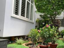 Hình ảnh Cho thuê biệt thự Nguyễn Văn Hưởng - Có sân vườn, hồ bơi