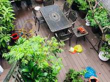 Hình ảnh Cực phẩm nhà giáp Q1 Nguyễn Ngọc Phương 20x10m, 6 lầu HĐ 150tr/ tháng