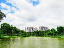 Hình ảnh Chính chủ bán nhanh Eco Green 2PN, thiện chí thương lượng