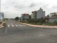 Hình ảnh Cần tiền bán gấp lô đất TT3 khu đấu giá Cự Khối, Long Biên