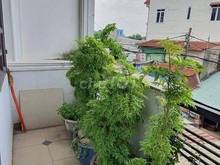 Hình ảnh -- Nhà đường mặt tiền số 10, P.Linh Xuân, TP Thủ Đức đường nhựa xe tải