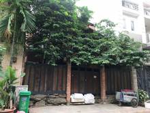 Hình ảnh Cho thuê Đất Mặt tiền Đường Hoa Mai, P.2, Q.Phú Nhuận.  DT: 8 x 15m