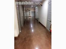 Hình ảnh Cho thuê c/h Sao Mai, Q5, 97m2, 2pn- 9.5tr, ntcb