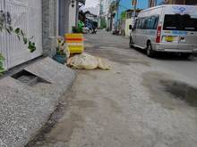 Hình ảnh BA GIAI.Bán nhà hẻm xe tải tránh 55m Kênh Tân Hóa,Tân Phú. Giá 4.7 tỷ