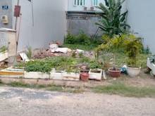 Hình ảnh cần bán lô đất ngay MT đườg Quang trung,p12,Quận Gò Vấp. Giá chỉ 1tỷ9/